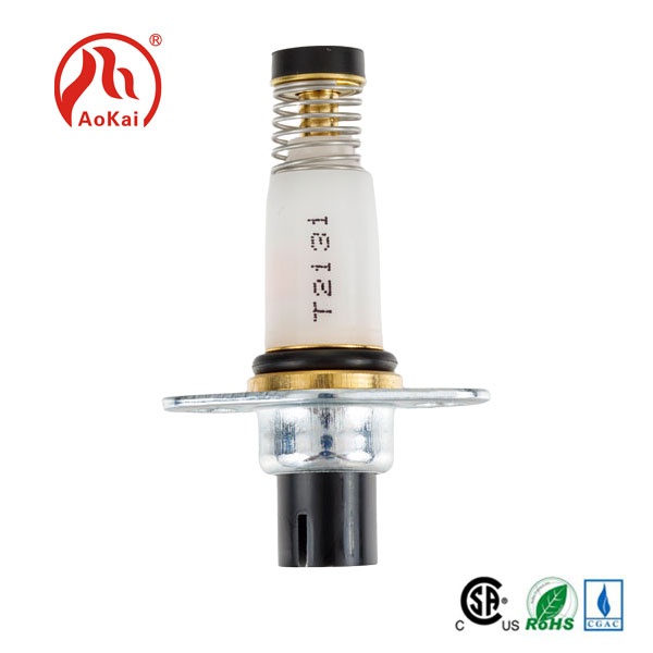 Chì forma serà a tendenza di sviluppu futuru di valves solenoide?